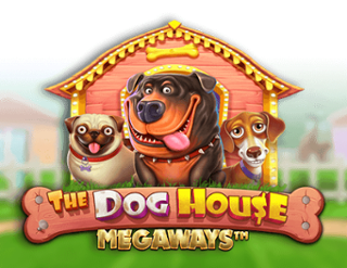 cazinouri cu dog house megaways